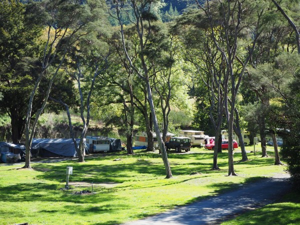 Brook Camp through trees