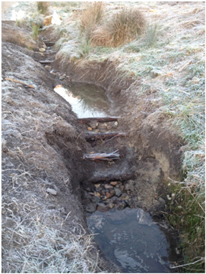 pipers park fish passage