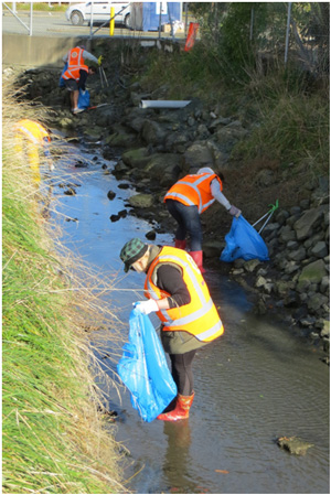 saltwater creek cleanup