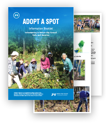 adopt a spot brochure