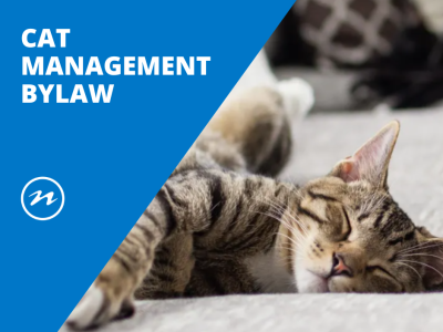 Cat management bylaw web 2