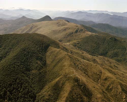 dun mountain aerial